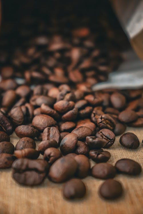 Free Clsoe-up of Scattered Coffee Beans  Stock Photo