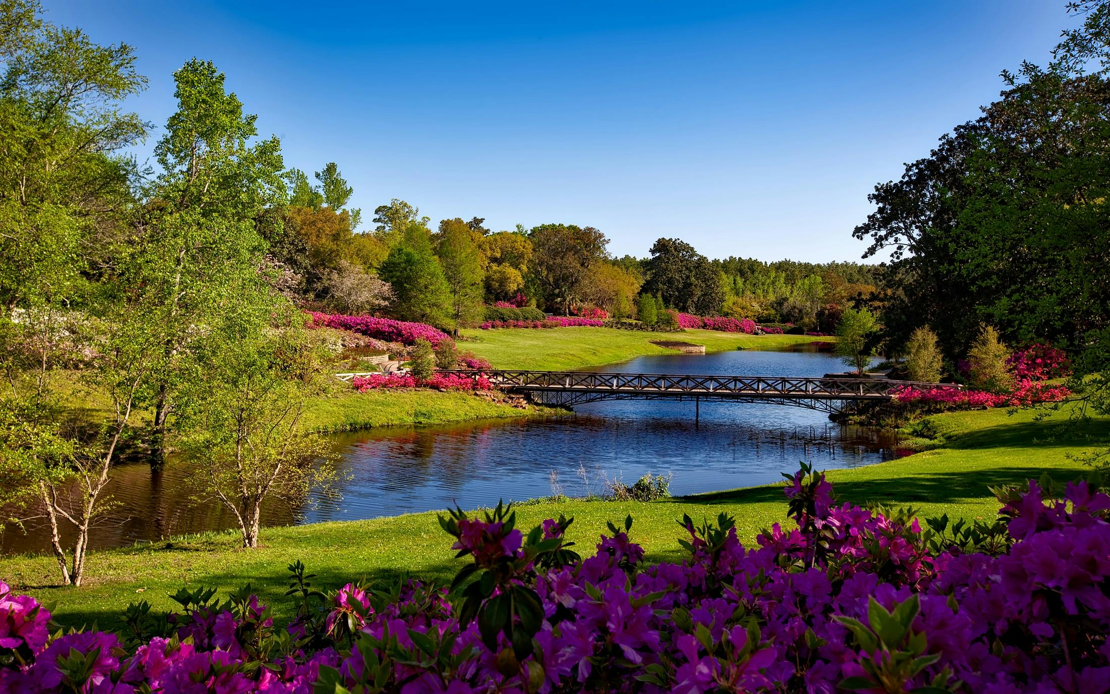 scenic backgrounds for photography