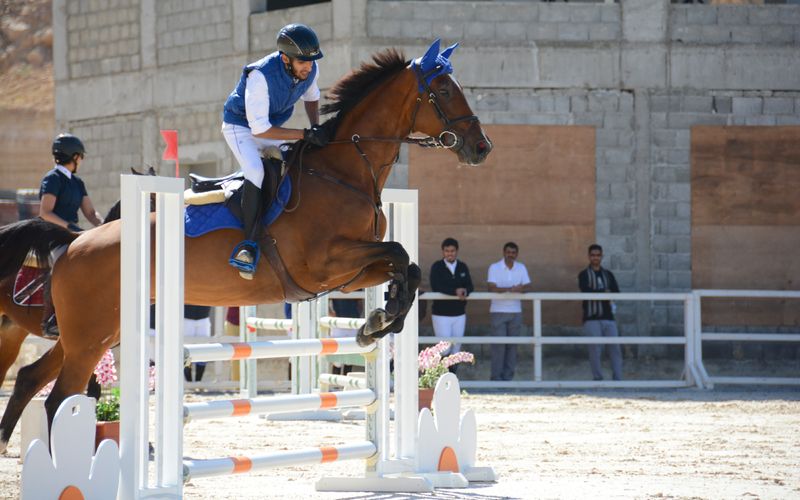 Horse Riding in Saudi Arabia: Complete Guide (2026)