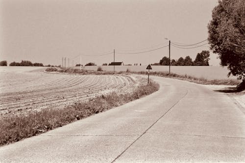 Fotos de stock gratuitas de carretera, frío, invierno