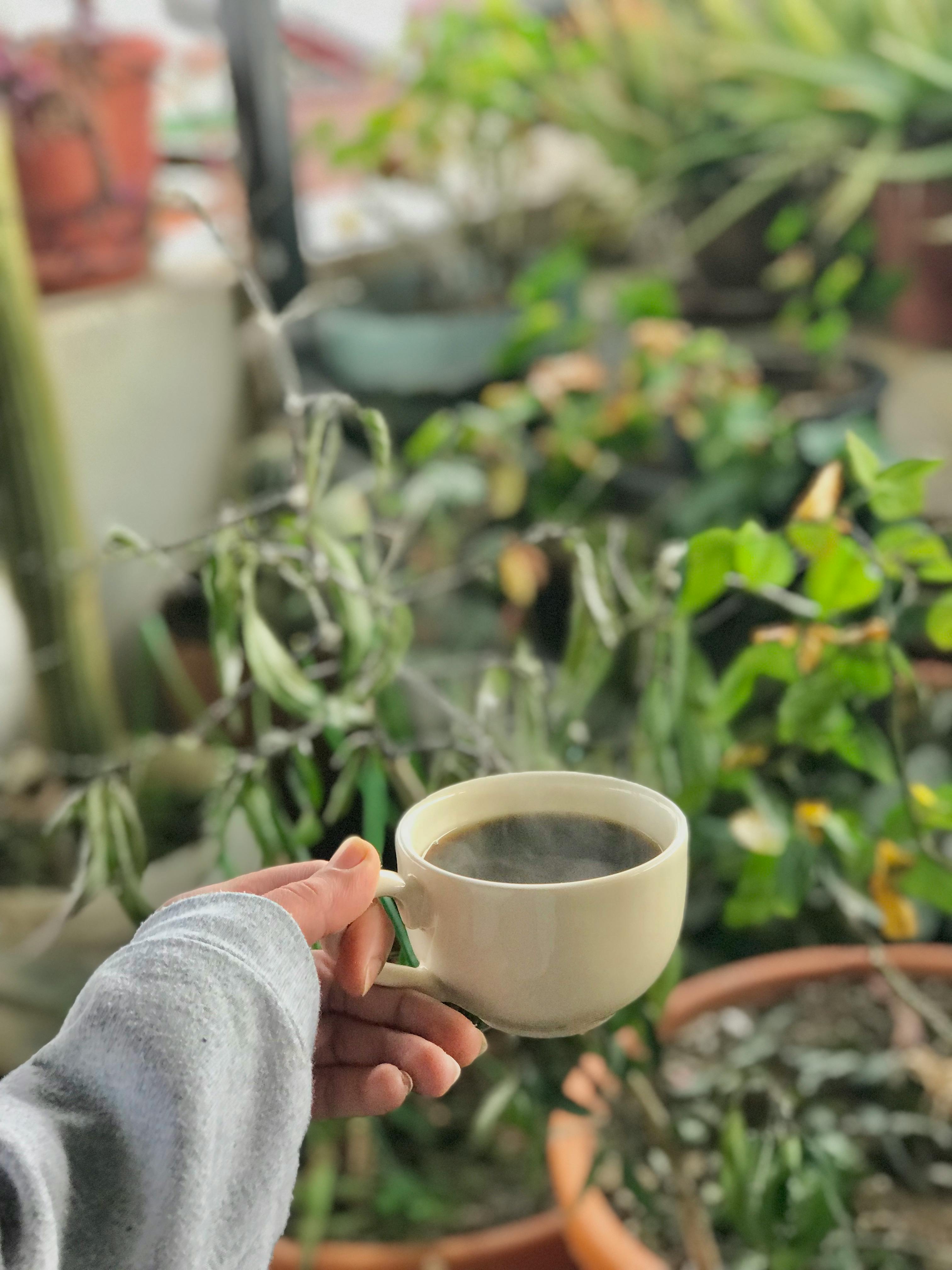 A hand holds a steaming cup of coffee surrounded by lush garden plants, creating a serene morning atmosphere.