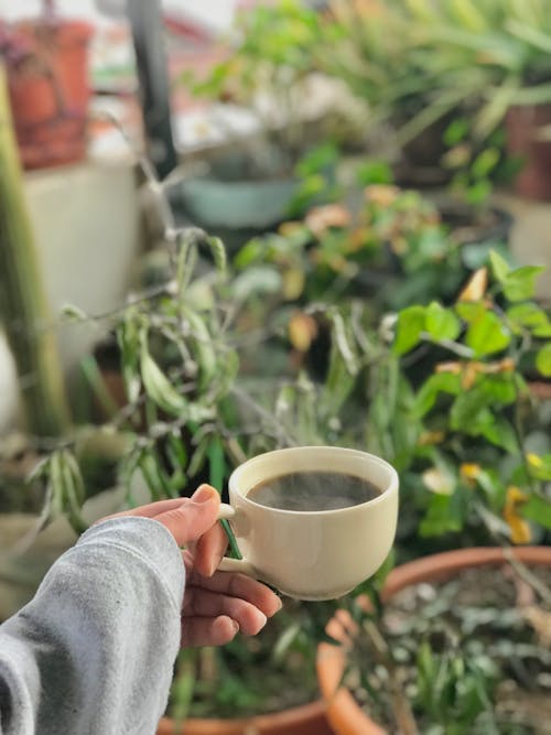 Free Hot Cup of Black Coffee in Hand Stock Photo