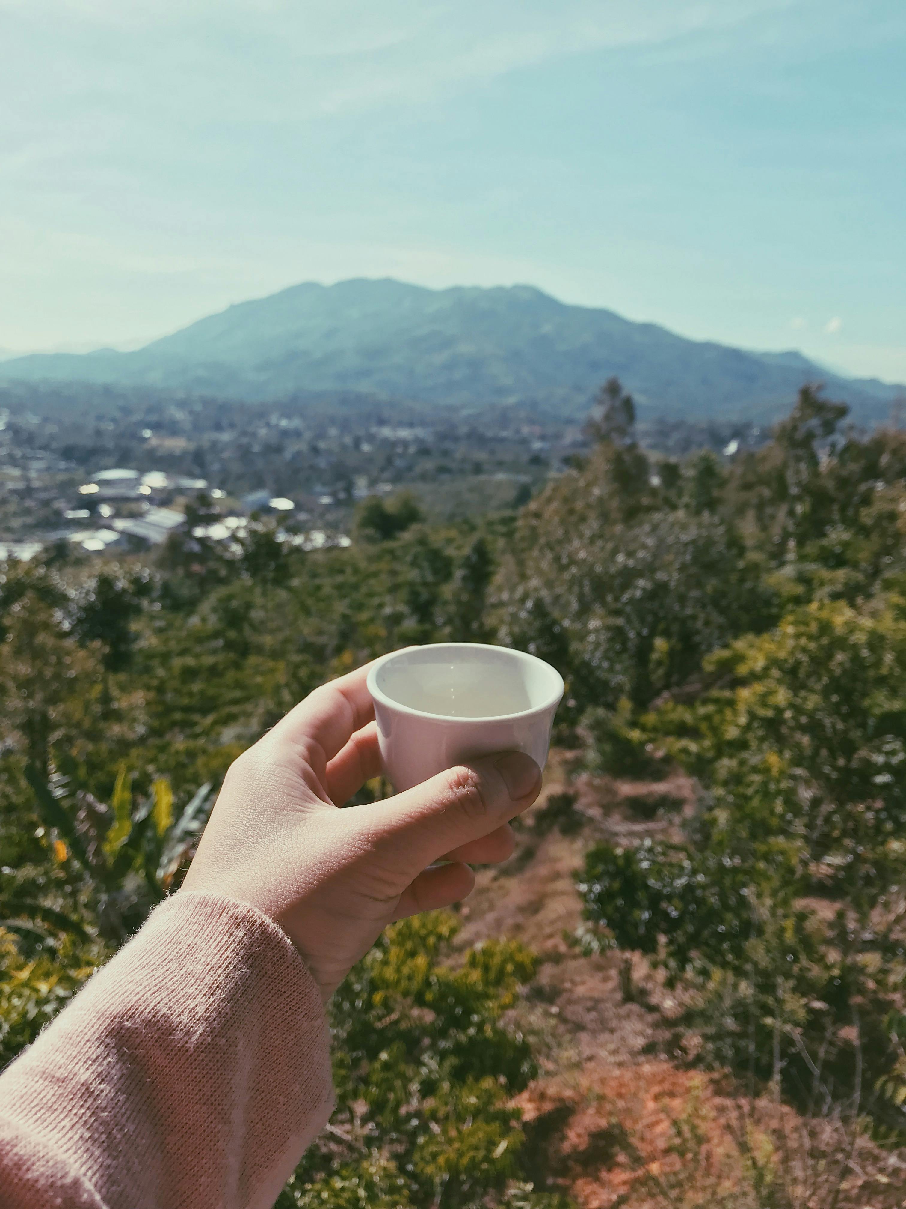 俯瞰蓝天下郁郁葱葱的绿色山地景观，一只手握着白色杯子