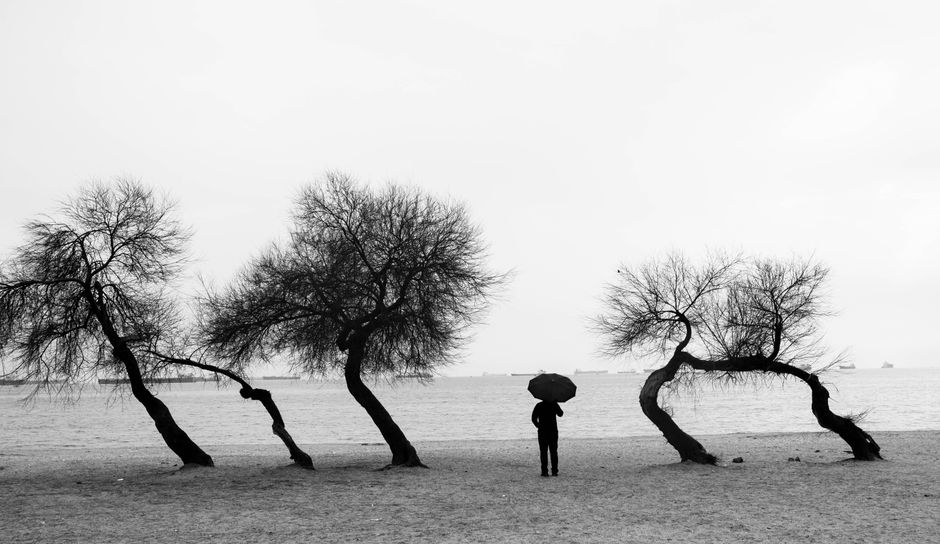 A person with an umbrella stands on a beach in Istanbul, surrounded by bare trees in a black and white scene.