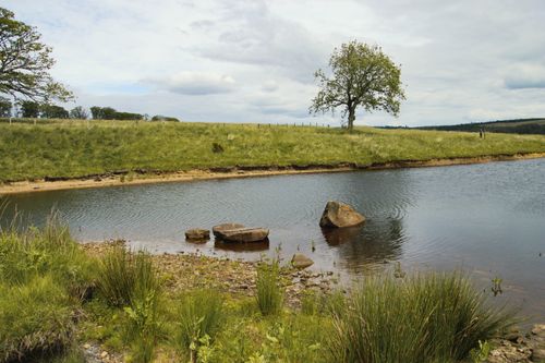 Free Tranquil lakeside landscape with lush greenery in Kielder, UK. Perfect for nature enthusiasts. Stock Photo