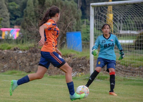 Foto profissional grátis de ação, brincadeiras, equipamentos esportivos