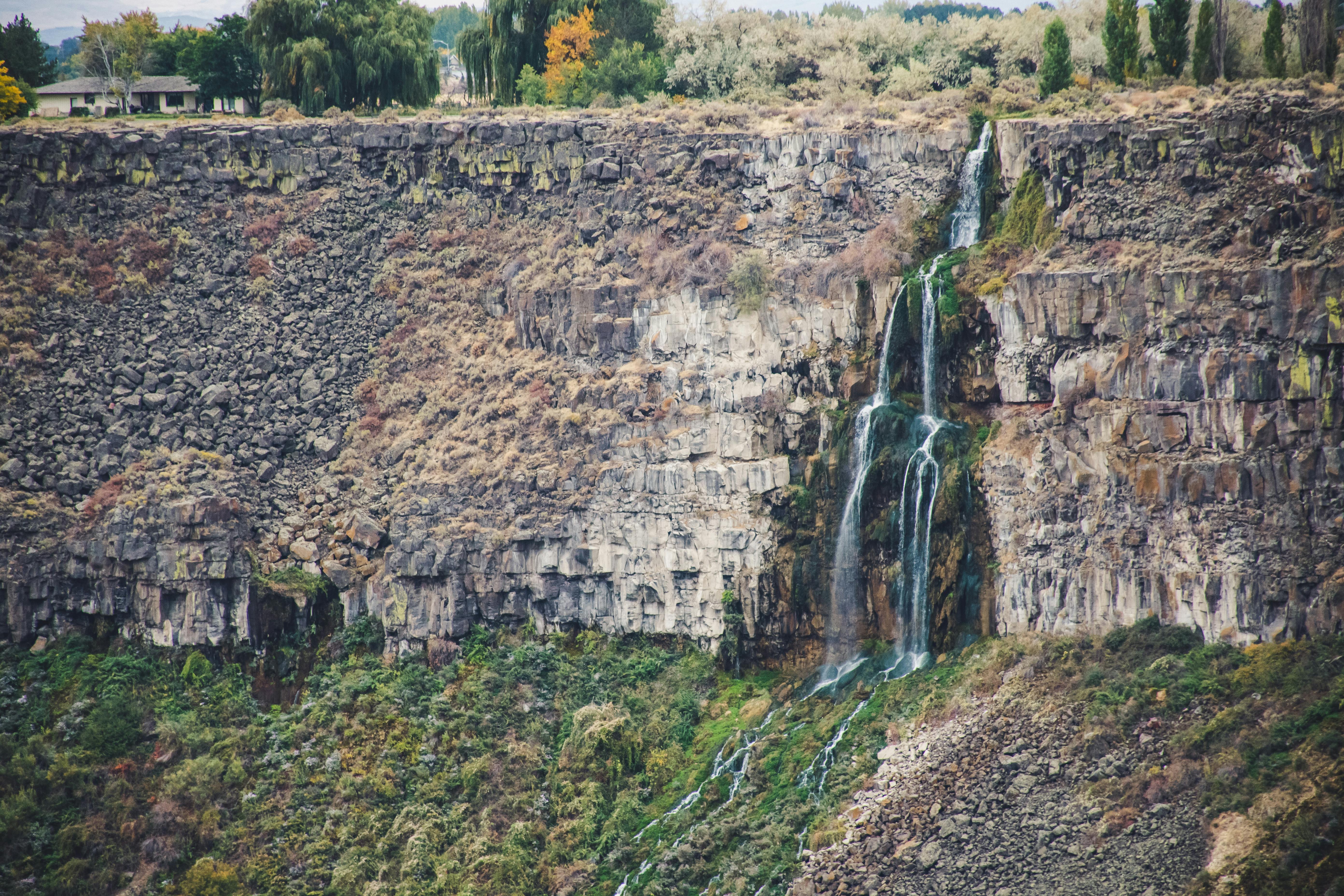 瀑布从岩崖倾泻而下，四周环绕着郁郁葱葱的植被