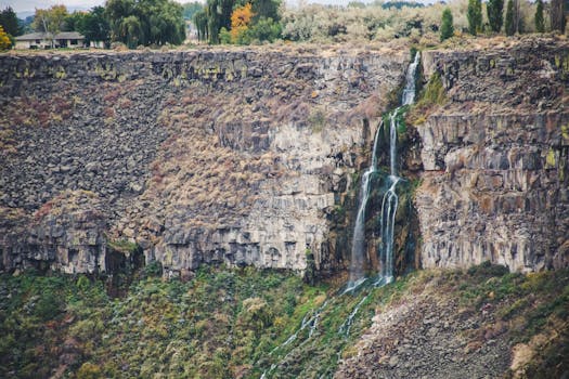 瀑布从岩崖倾泻而下，四周环绕着郁郁葱葱的植被
