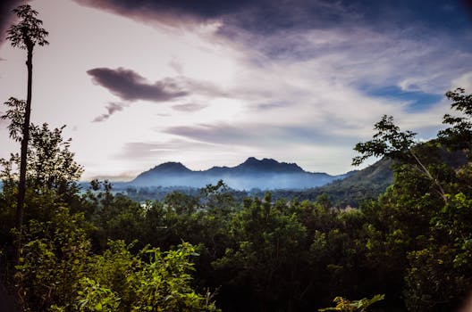 云雾缭绕的山脉和郁郁葱葱的森林在壮观的天空下，令人惊叹