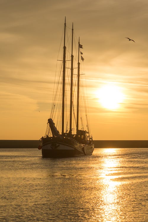 Fotos de stock gratuitas de agua, barca, barco de vela