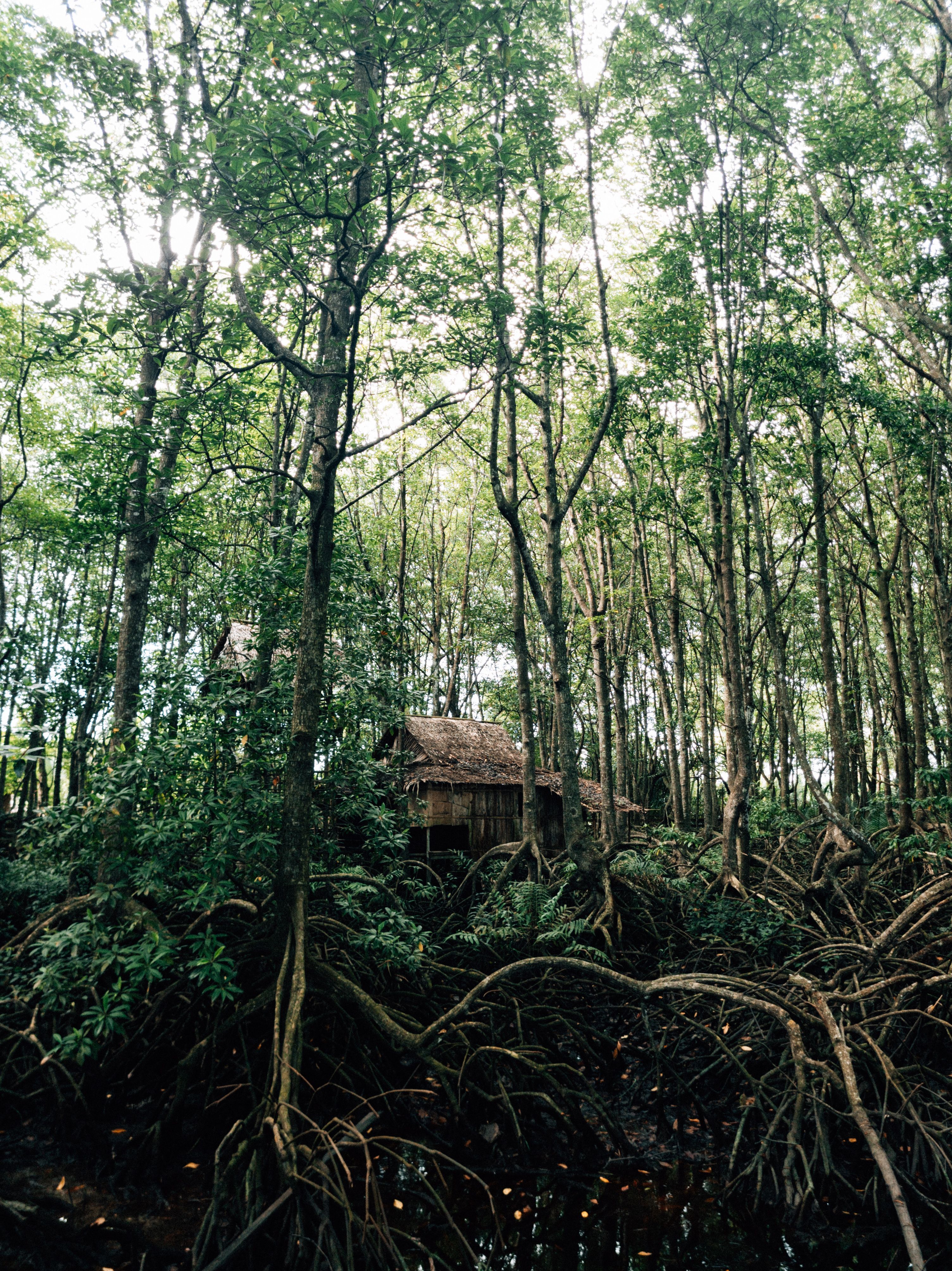 cabin photo