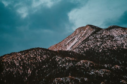 Clouds over Forest on Mountain in Winter