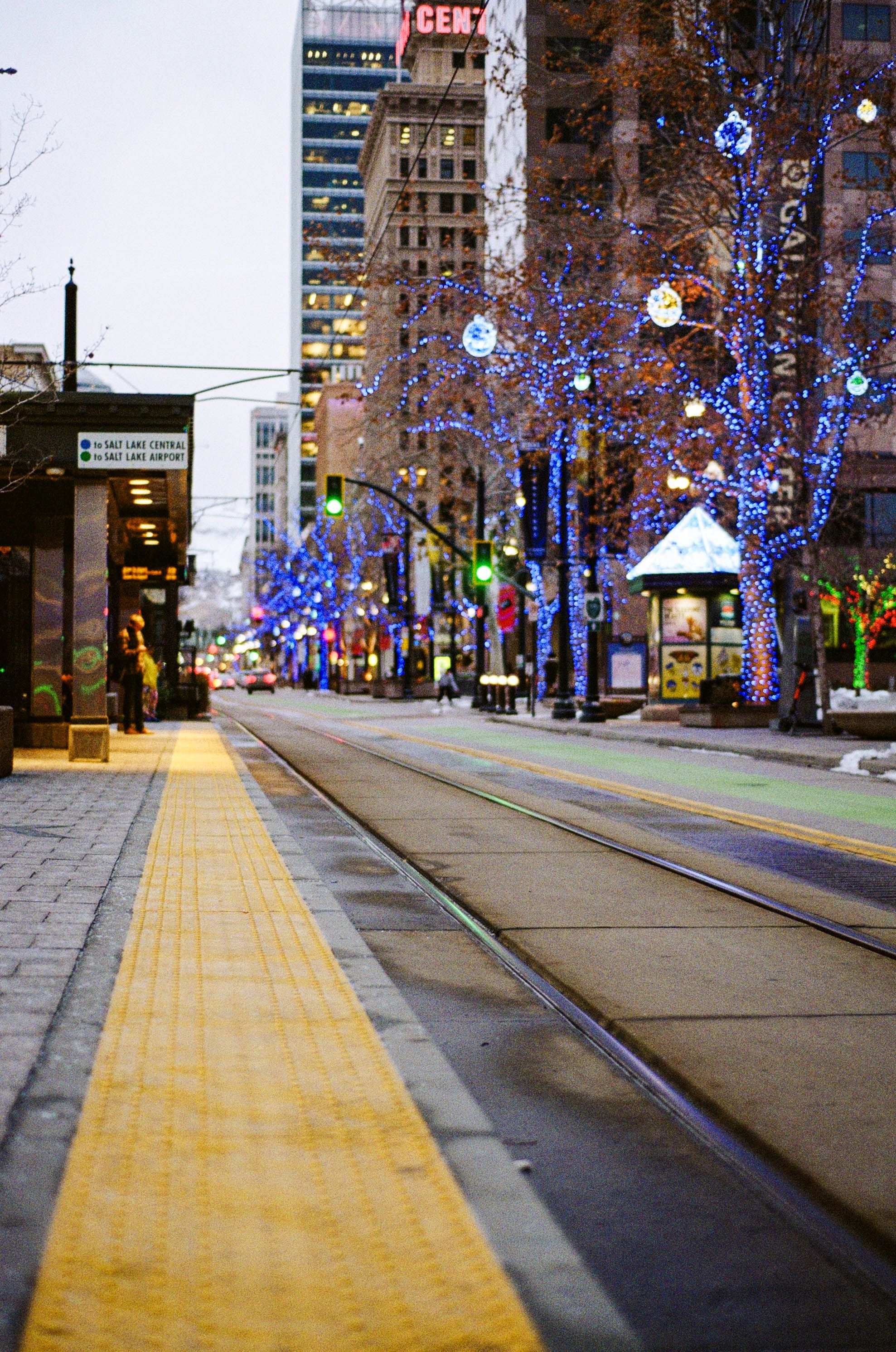 Illuminated Trees Along City Street · Free Stock Photo