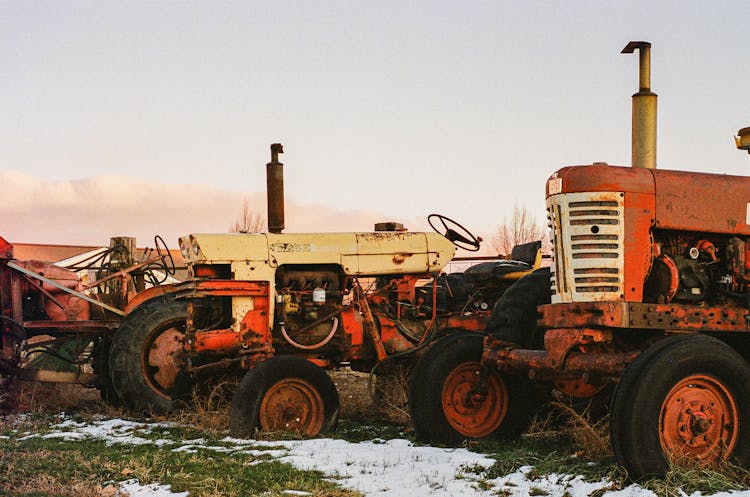 Rusty Retro Tractors On Farm