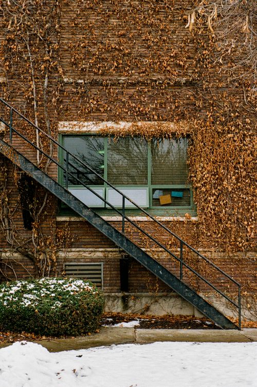 Free Ivy-covered brick building with iron stairs in winter snow for urban photography. Stock Photo