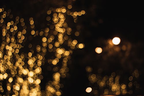 Free Bokeh Photography Stock Photo