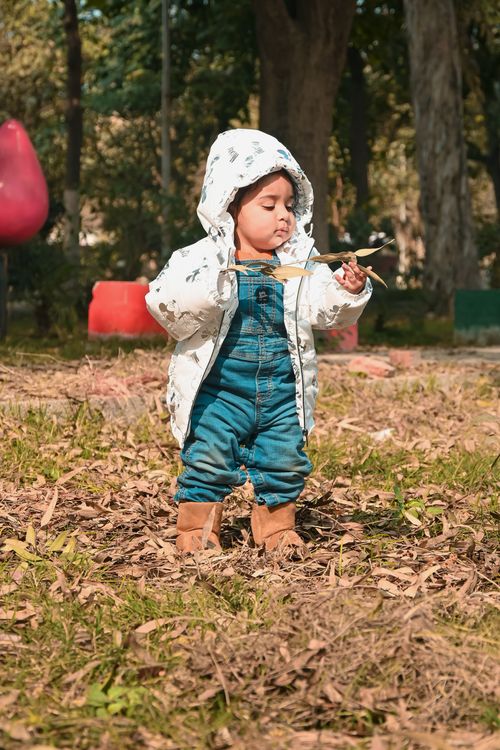 Free Cute child in a white jacket and jeans playing in an autumn park in Moga, Punjab, India. Stock Photo