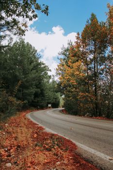 Curved road through an autumn forest, capturing vibrant fall colors.