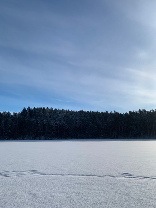 Free A tranquil winter scene showcasing a snowy field against a distant forest under a clear sky. Stock Photo