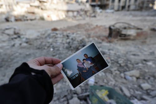 Foto d'estoc gratuïta de gall dindi, hatay, kahramanmaras