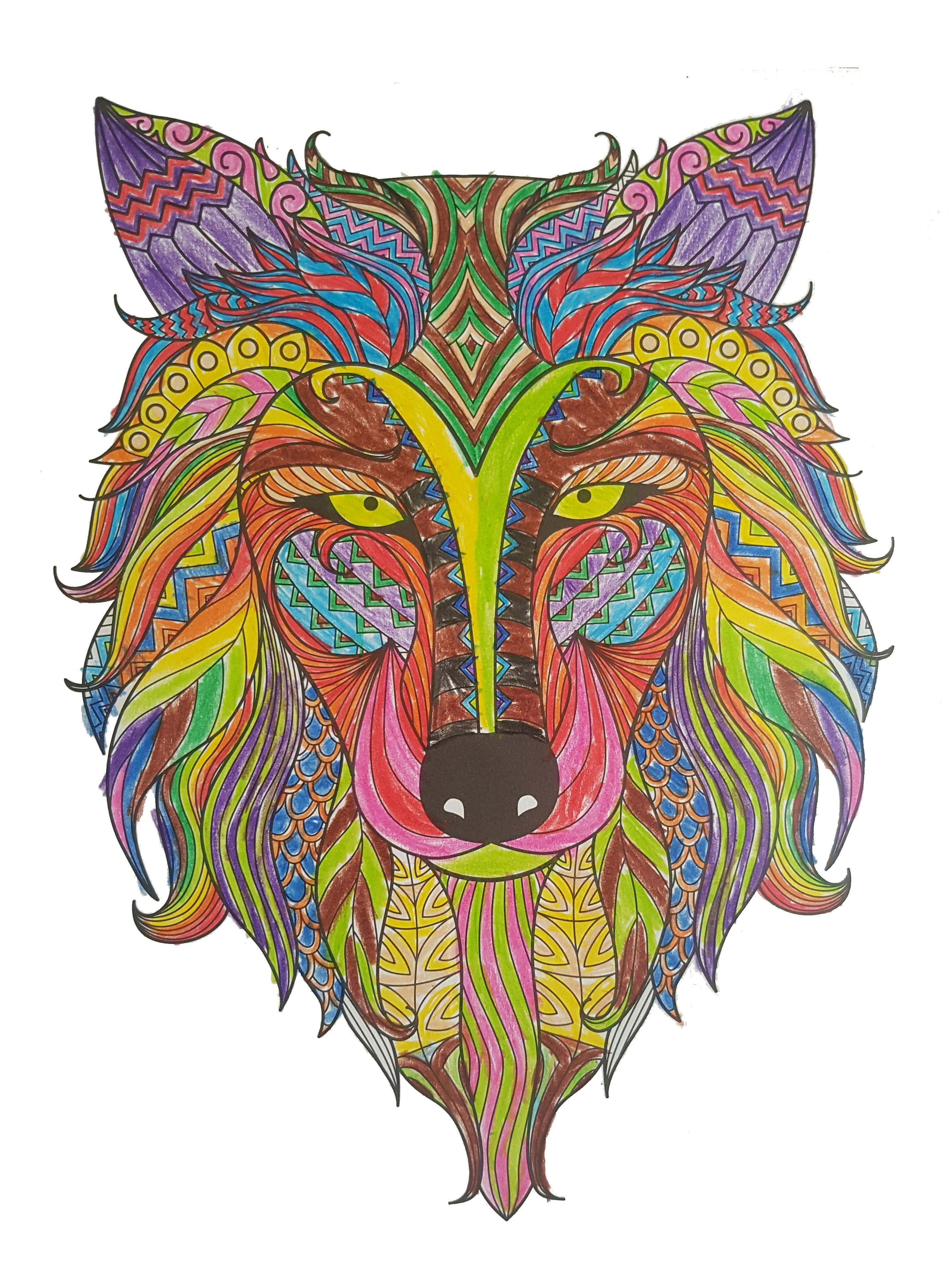 Free stock photo of coloring, draw, wolf