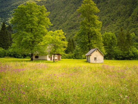 Idyllic rural scene with a meadow and cottages in Stara Fužina, Slovenia during summer.