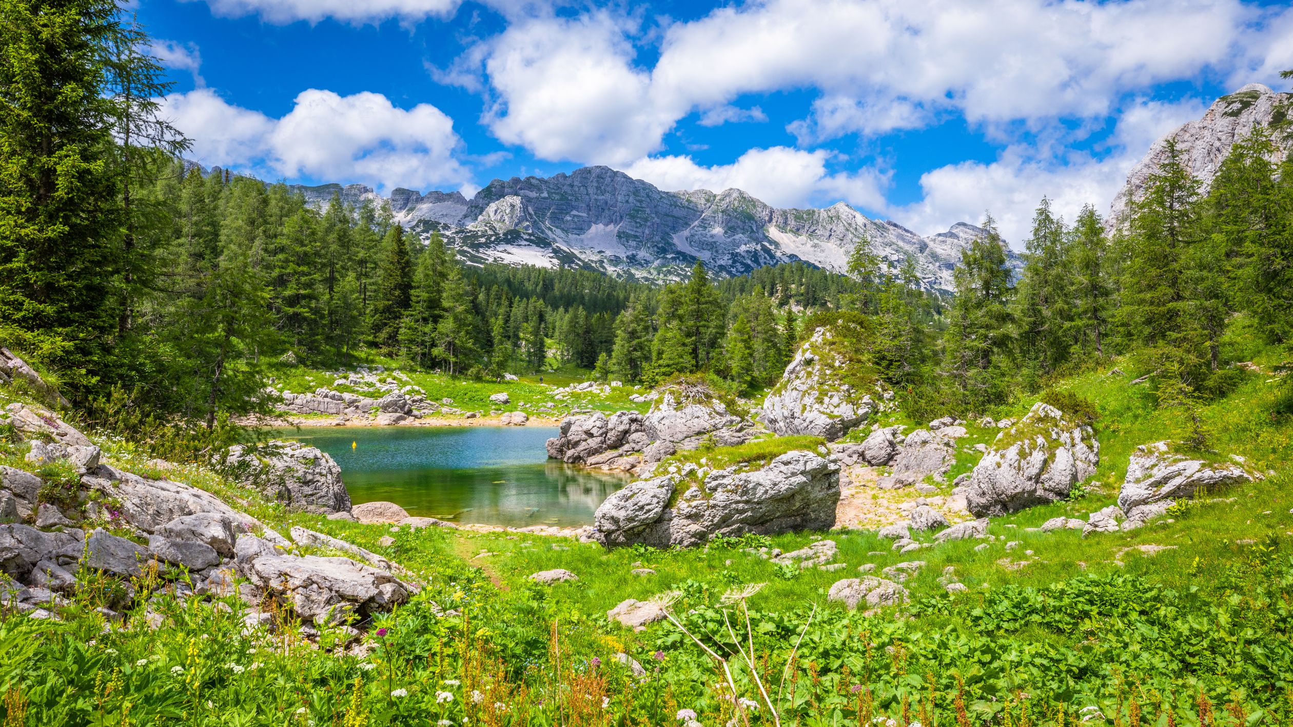 Colorado Springs Things To Do Free Colorado Springs Things To Do Free