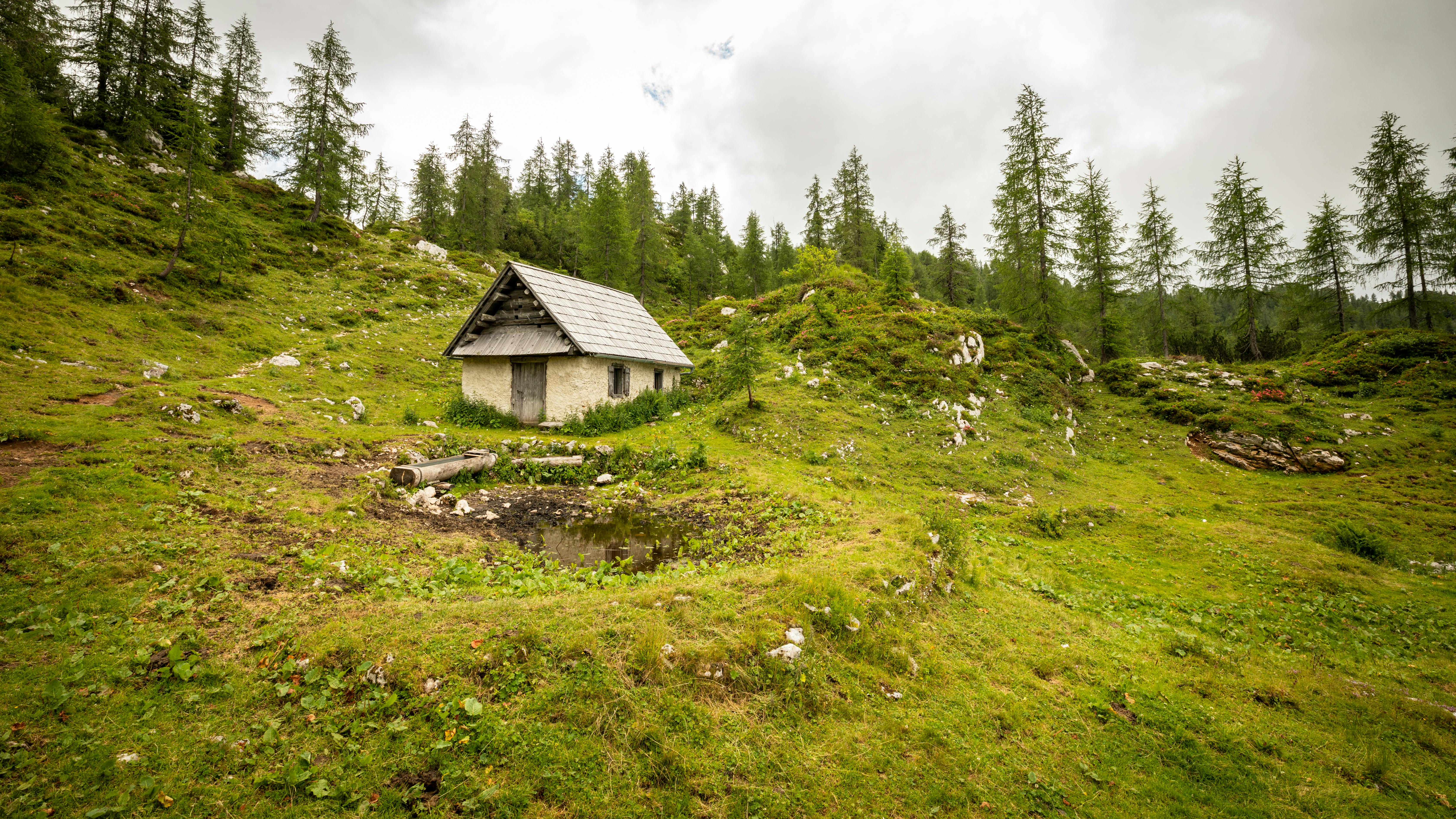 Discover the tranquility of a lone cabin nestled in Slovenia's lush alpine landscape.
