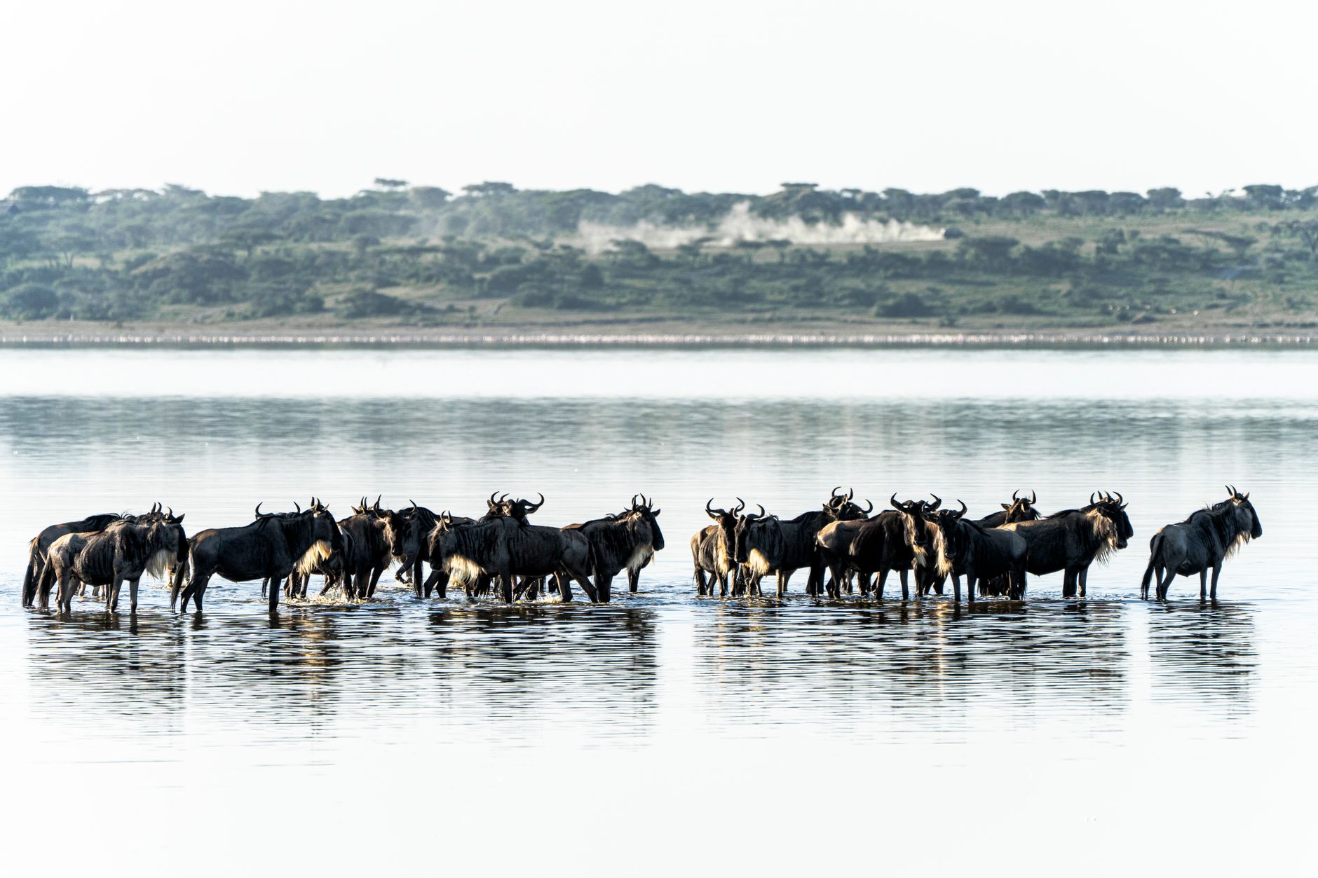 Serengeti, Tanzania