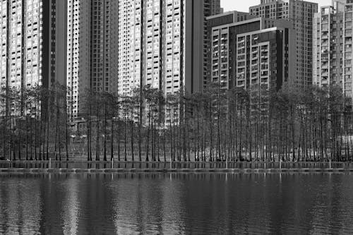 View of Tall Apartment Buildings by a Body of Water in City 
