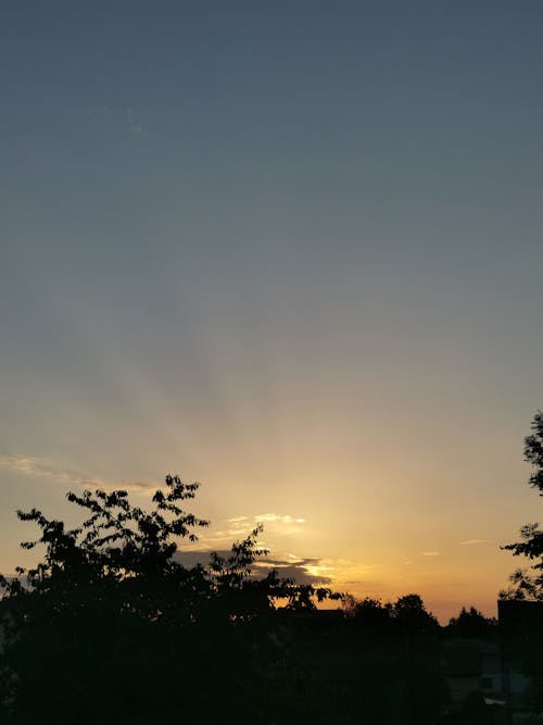 Základová fotografie zdarma na téma brzy východ slunce, svítání