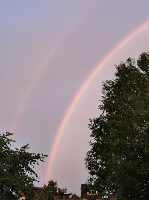 Základová fotografie zdarma na téma duha