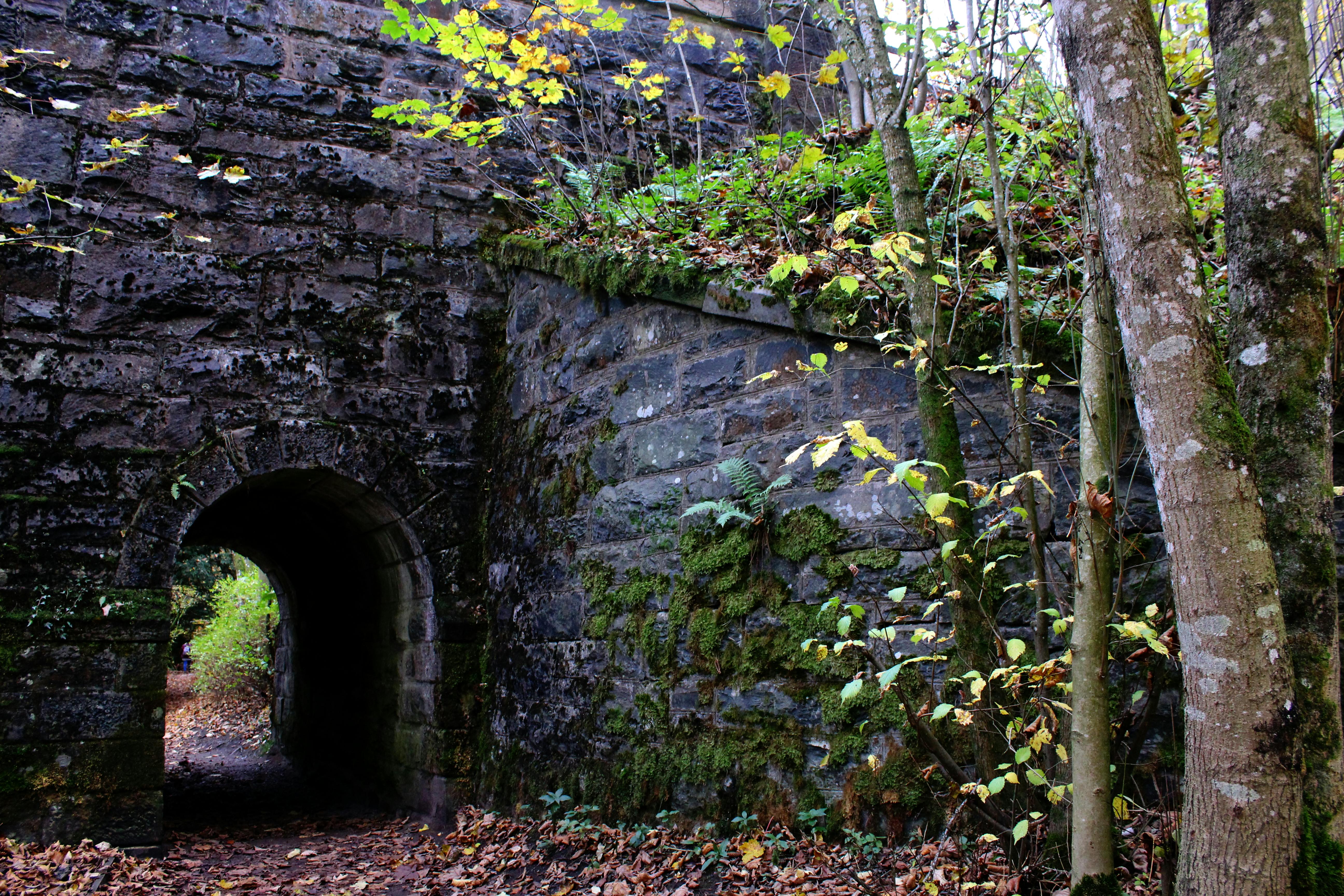 Gurten - Park im Grünen