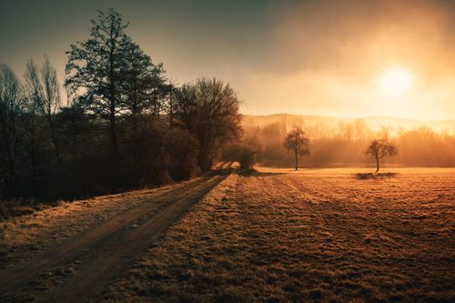 Free Peaceful rural landscape with a dirt road and trees at sunset. Stock Photo