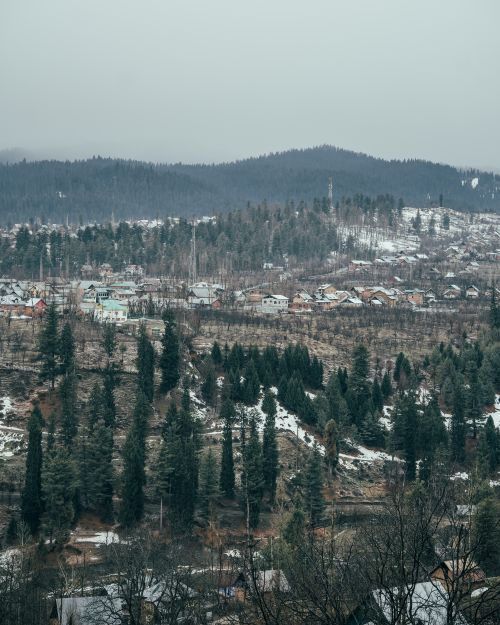 Free A tranquil winter landscape of Srinagar with snow-covered trees and distant hills. Stock Photo