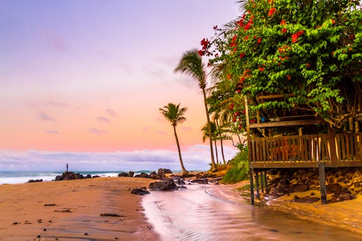 日落时分，台湾拜亚海滩上，棕榈树与充满活力的天空构成了一幅美景