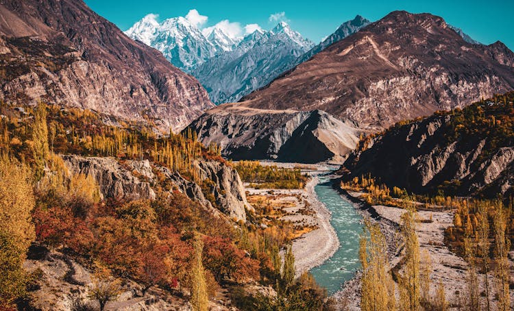 River And Trees In Mountains