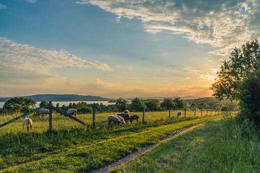 AttÄlu rezultÄti vaicÄjumam âcountrysideâ