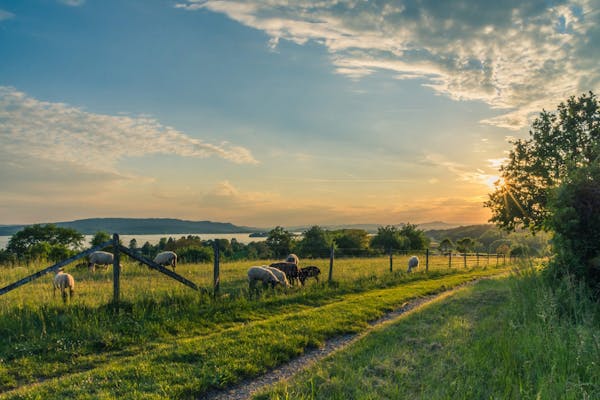 Garin Farm