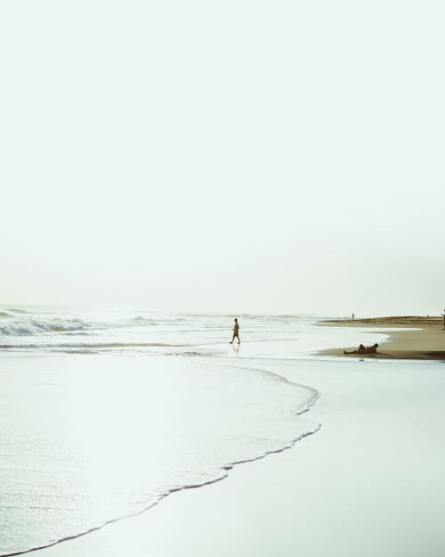Gratis Persona Che Cammina Sulla Spiaggia Foto a disposizione