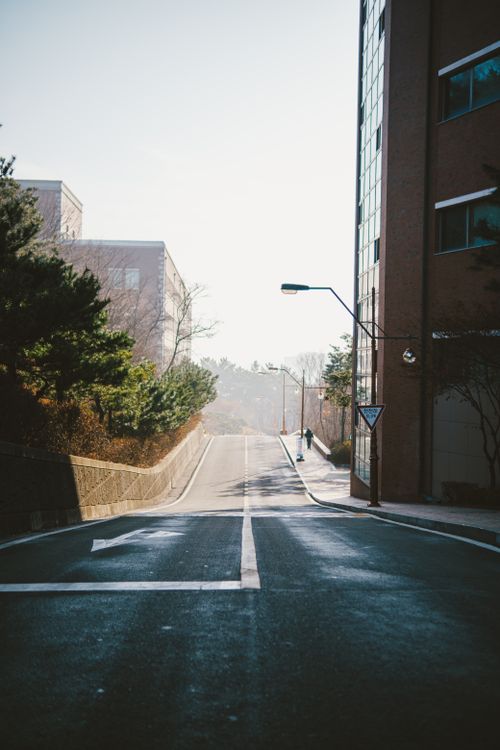 Free A serene empty street in an urban area with morning sunlight creating a warm atmosphere. Stock Photo