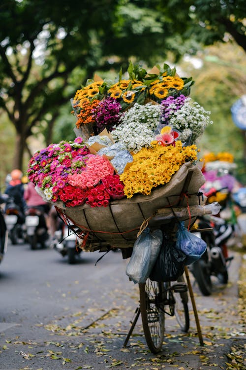 Základová fotografie zdarma na téma jízdní kolo, kolo, květiny