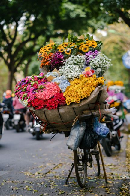 Brightly colored flowers on a bicycle cart in a bustling Hanoi street scene.
