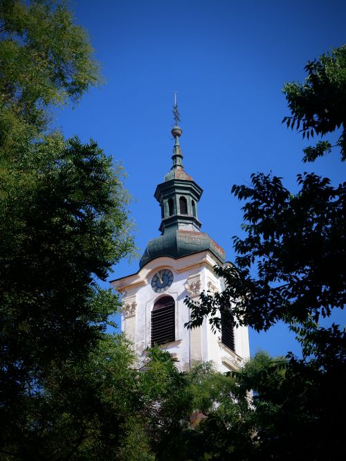 Free A historic church tower surrounded by lush green trees, set against a vibrant blue sky. Stock Photo