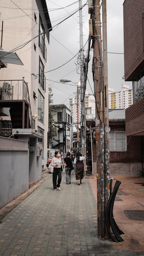 Photos gratuites de allée, citadin, Corée du Sud