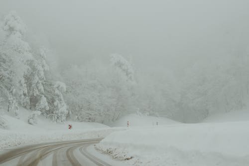 Бесплатное стоковое фото с дорога, зима, лед