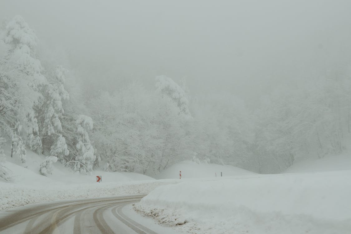 Ilmainen kuvapankkikuva tunnisteilla flunssa, huurteinen, jää