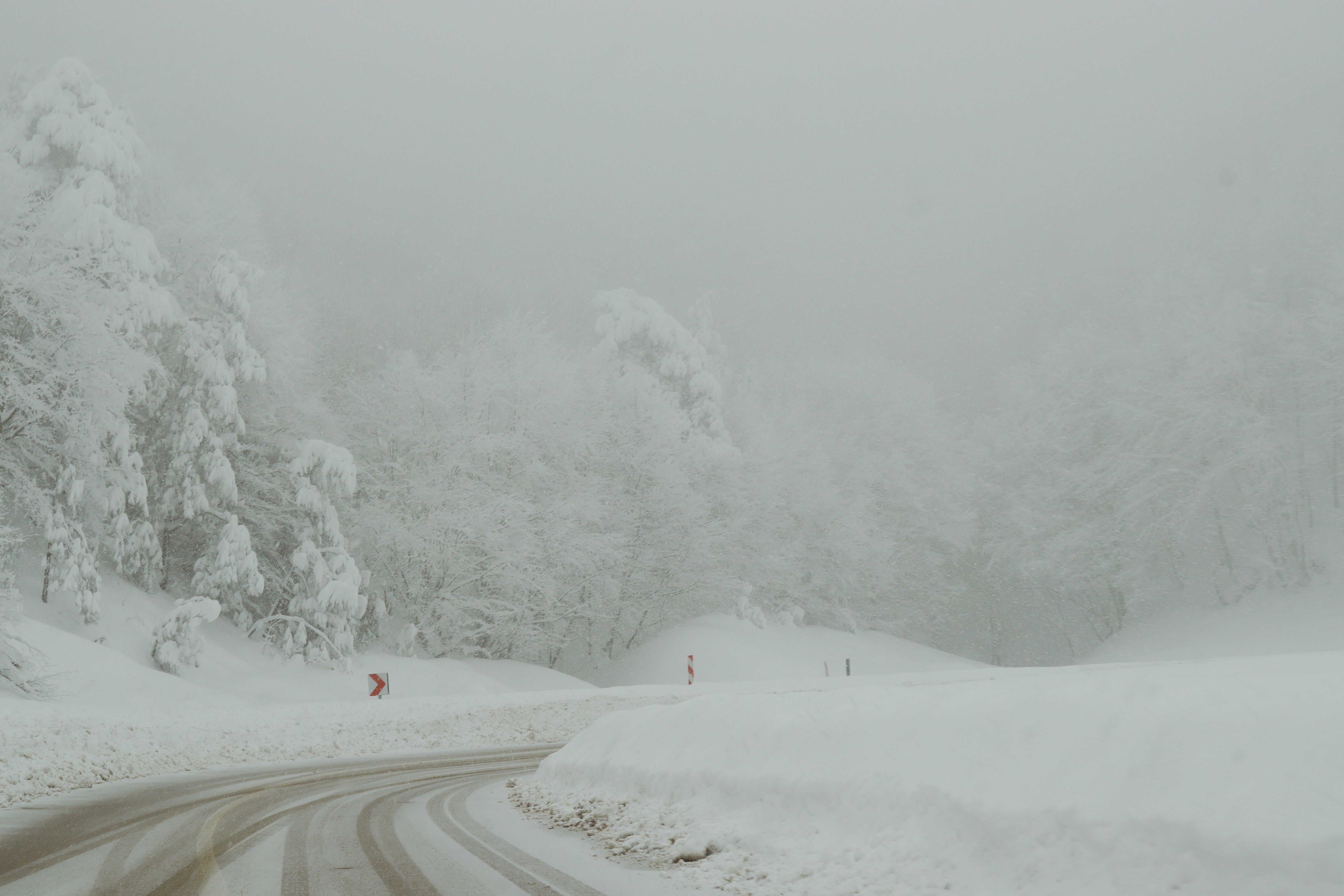 A Road during a Heavy Snowfall · Free Stock Photo