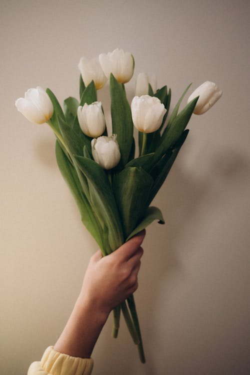 Woman Hand Holding Flowers Bouquet