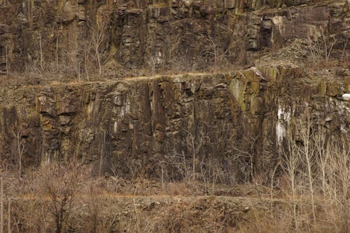 壁, 岩, 木の無料の写真素材